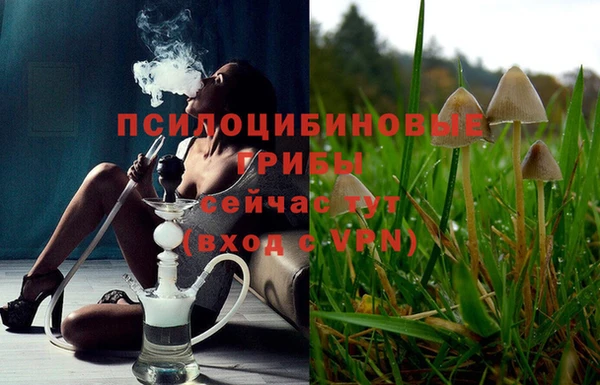 PSILOCYBIN Алексин
